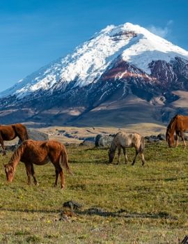 Comunicación estratégica enfocada en turismo en Ecuador